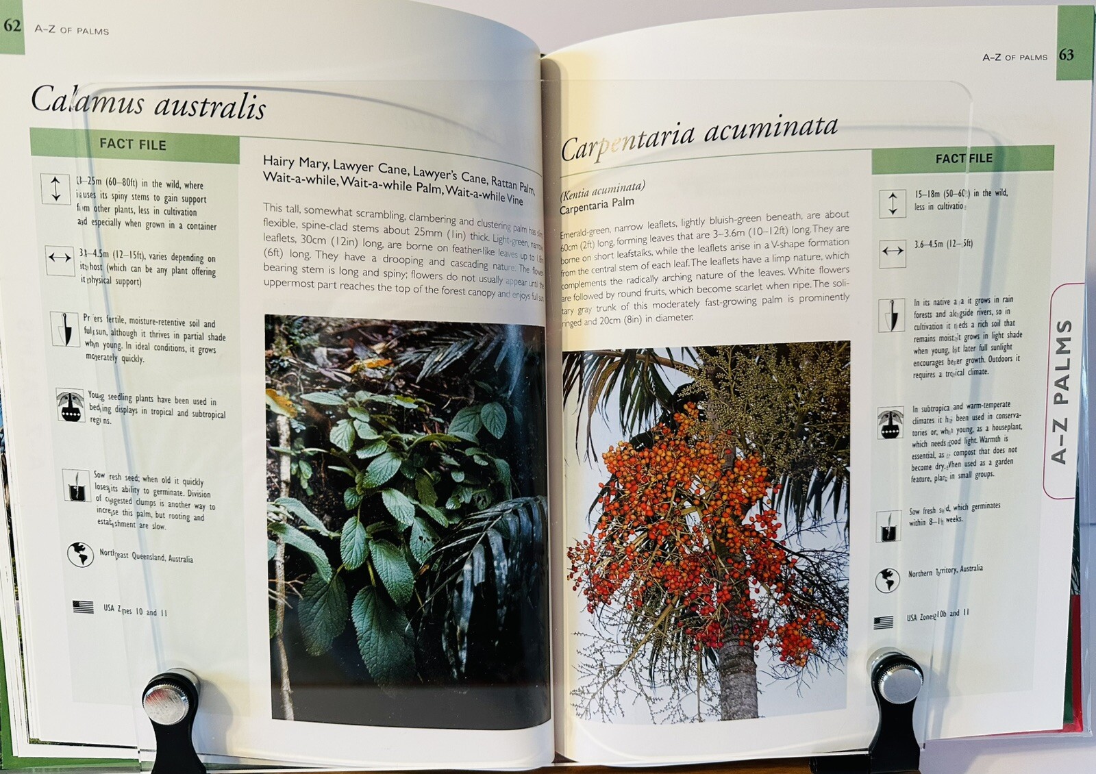 Palms And Cycads: A Guide To Selecting, Growing & Propagating David Squire New