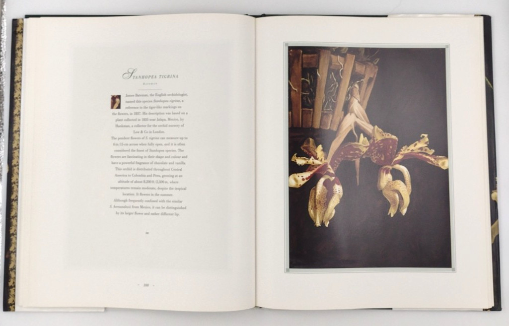 The Forgotten Orchids Of Alexandre Brun Hardcover Book 159 Pages 1992