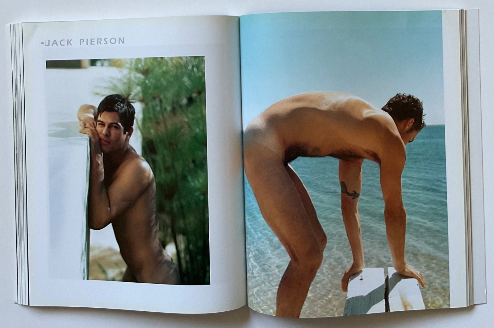 ADONIS Masterpieces of Erotic Male Photography OOP 1999 Book HERB RITTS ++++