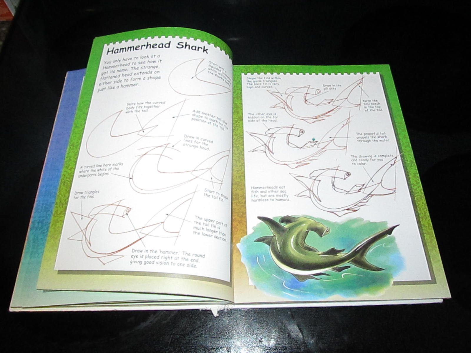 Terry Longhurst “I Can Draw..” Youth Young Adult Book Art Artwork Animals People