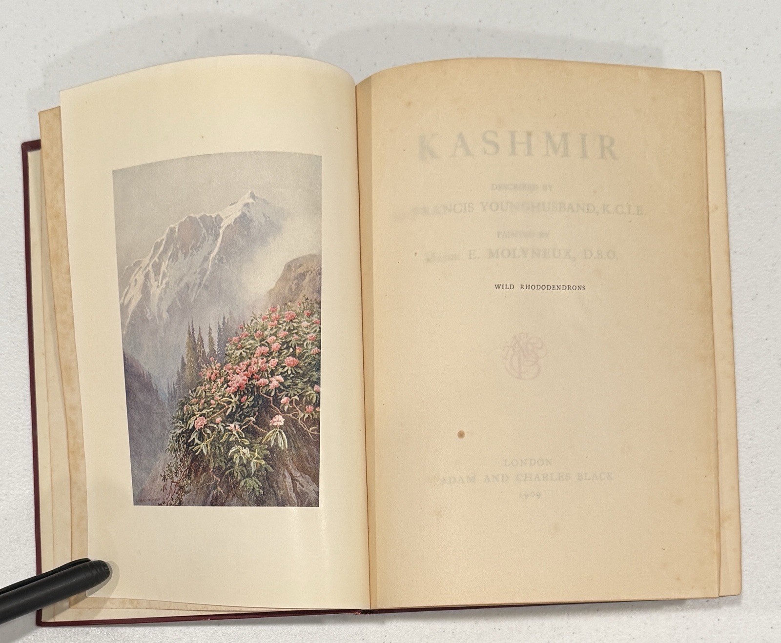 Kashmir Described by Sir Younghusband Paintings Molyneux 1st Edition & Printing