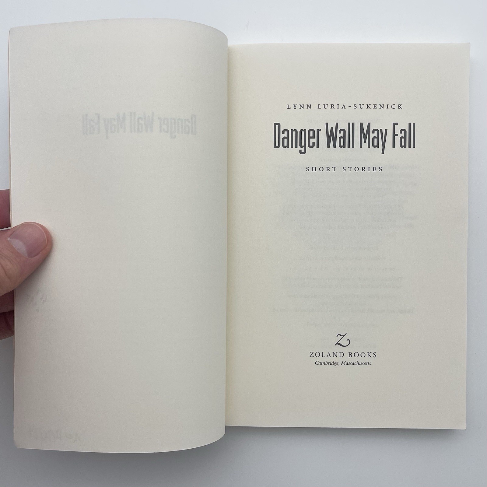 Danger Wall May Fall — Lynn Luria-Sukenick | Literary Short Stories