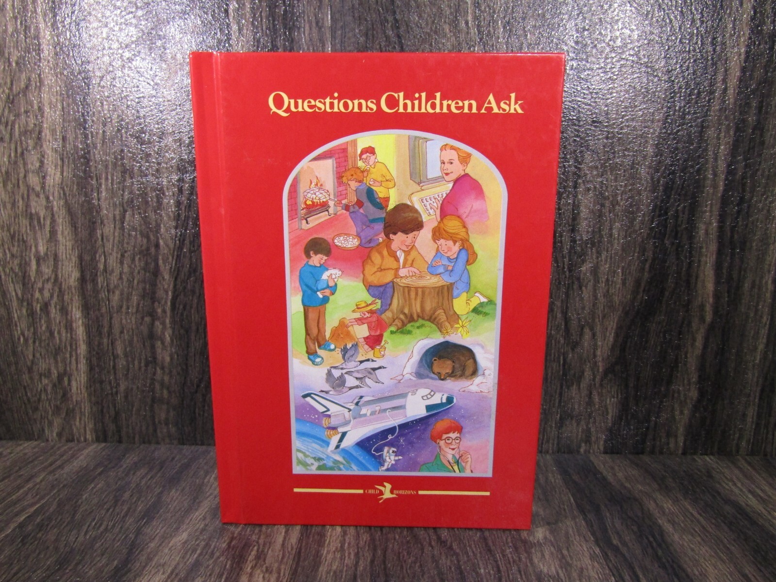 Vintage 1996 Child Horizons 6 Hard Book Lot Home Schooling Educational Readers