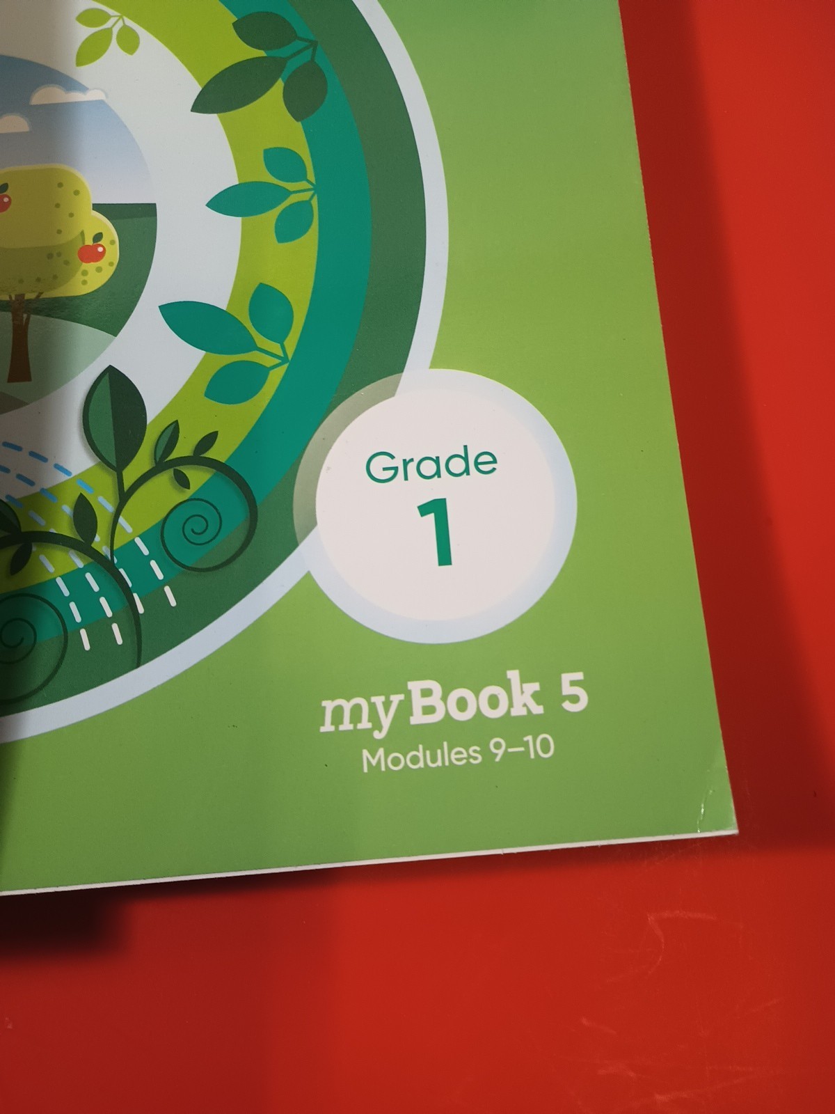 HMH Into Reading (Grade-1) Set 1 – 5 Paperback New Modules 1-10!