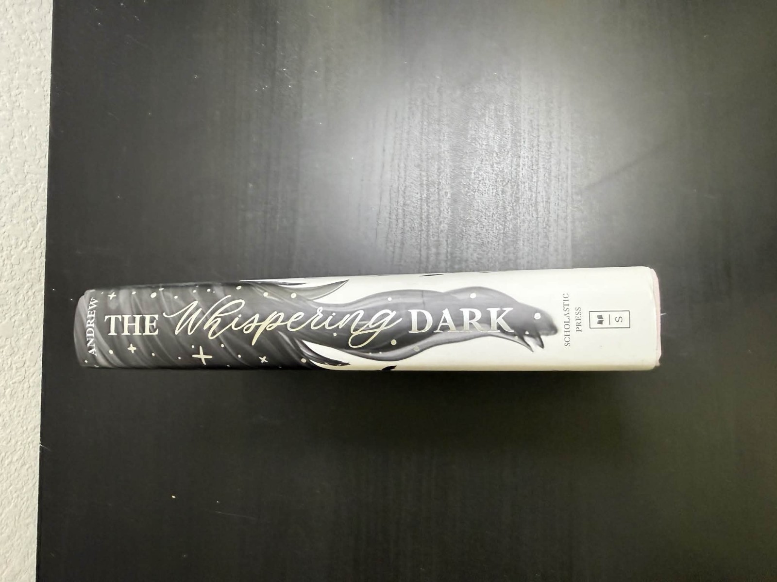 The Whispering Dark by Kelly Andrew (Hardcover, Scholastic Press) YA Fantasy
