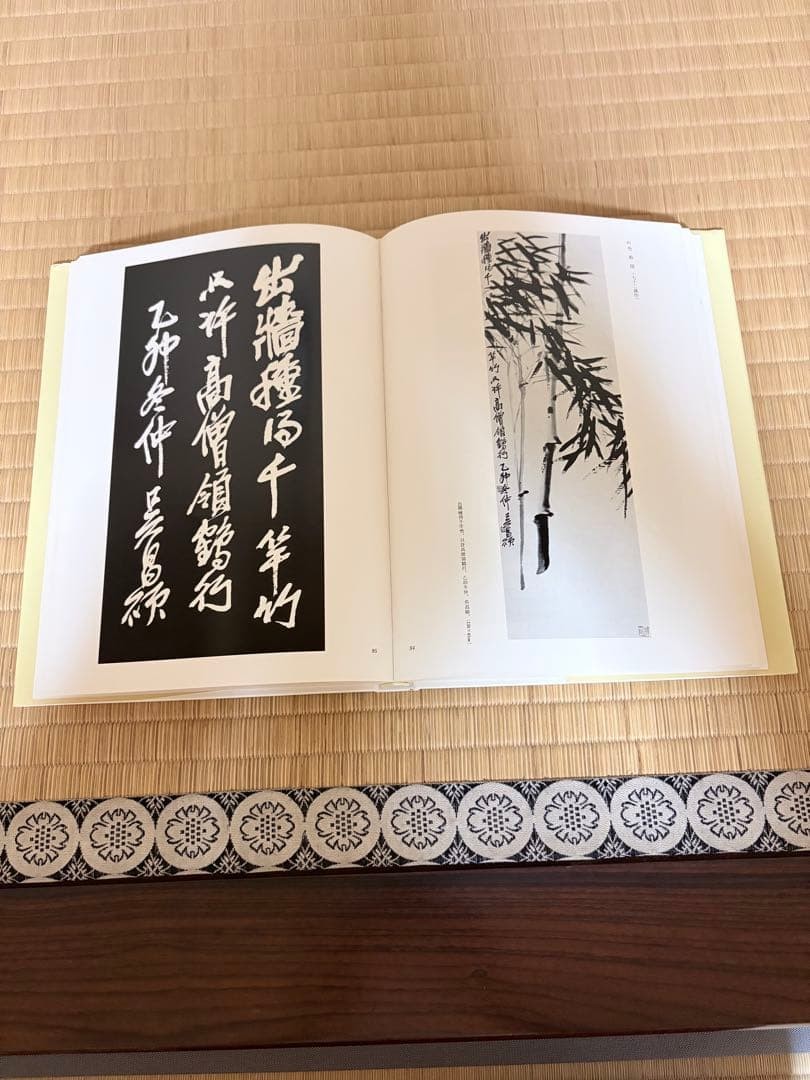 Wu Changshuo Paintings & Poems Aoyama Sugisame Edition Hardcover 31x22cm 234P u