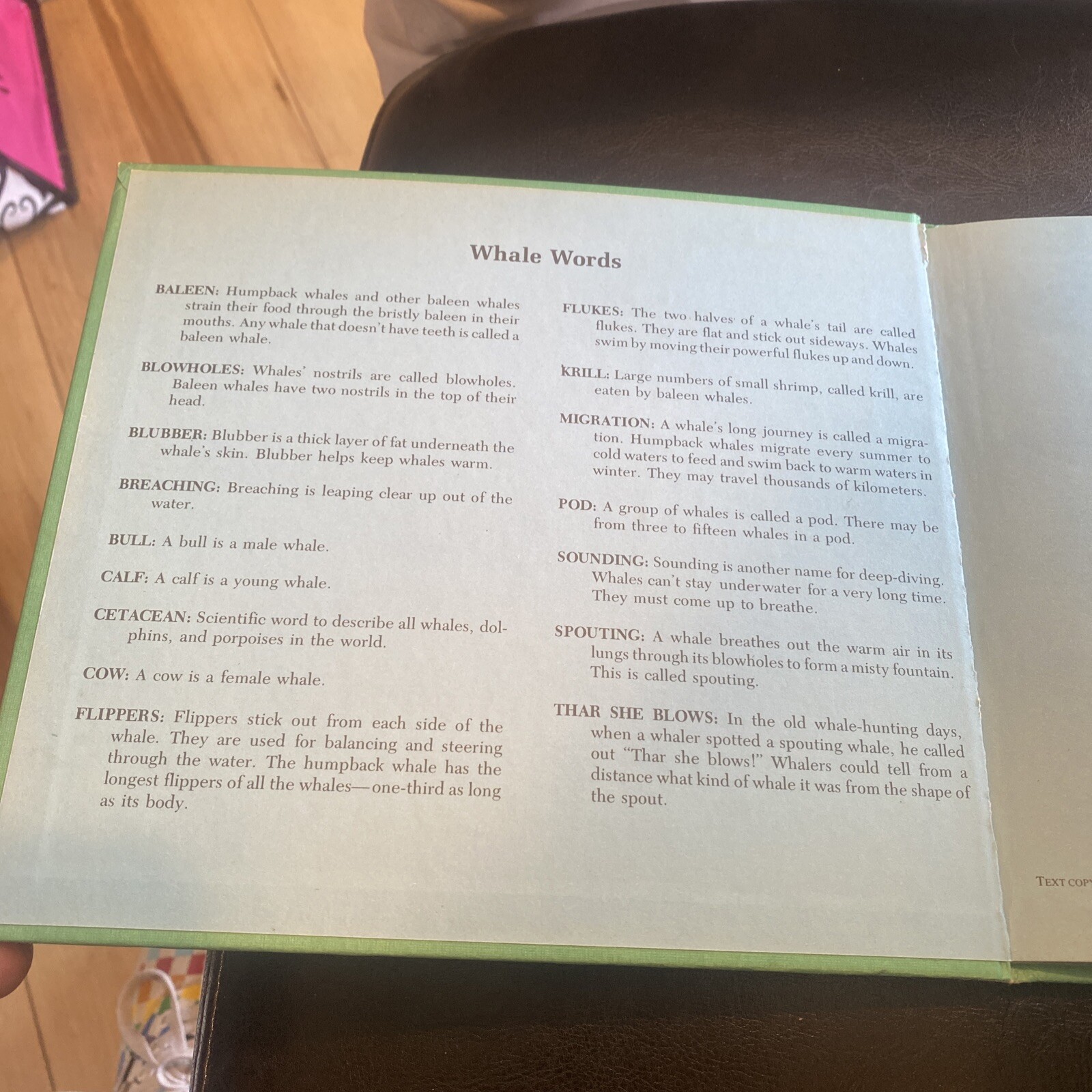 Little Whale. By Ann McGovern. 1979 HC Edition