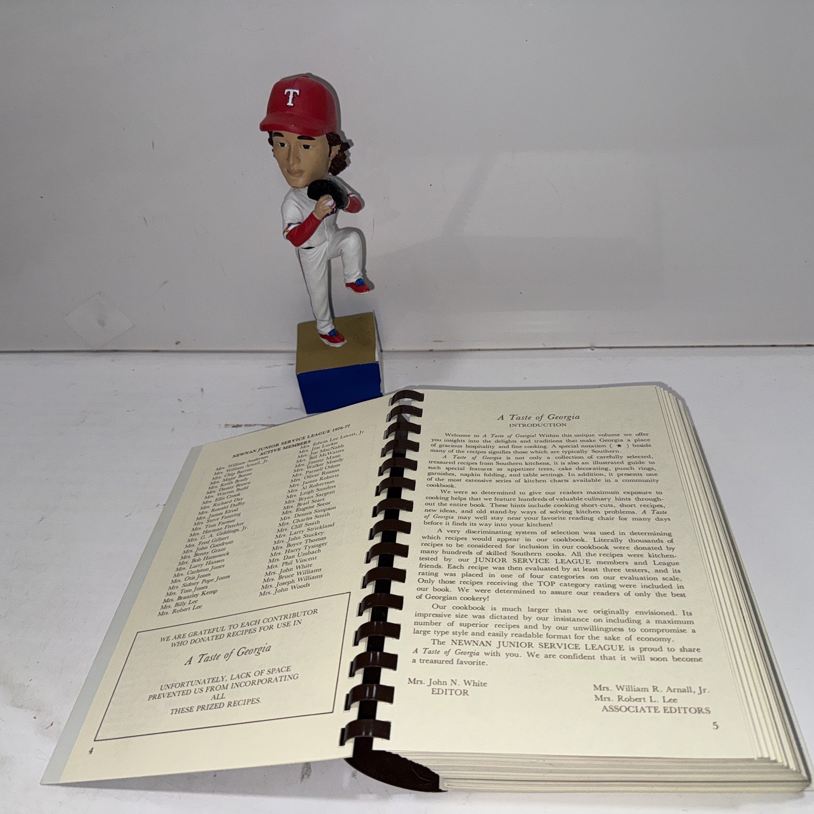 A TASTE OF GEORGIA 1994 Newman Junior Service League COOKBOOK Recipes