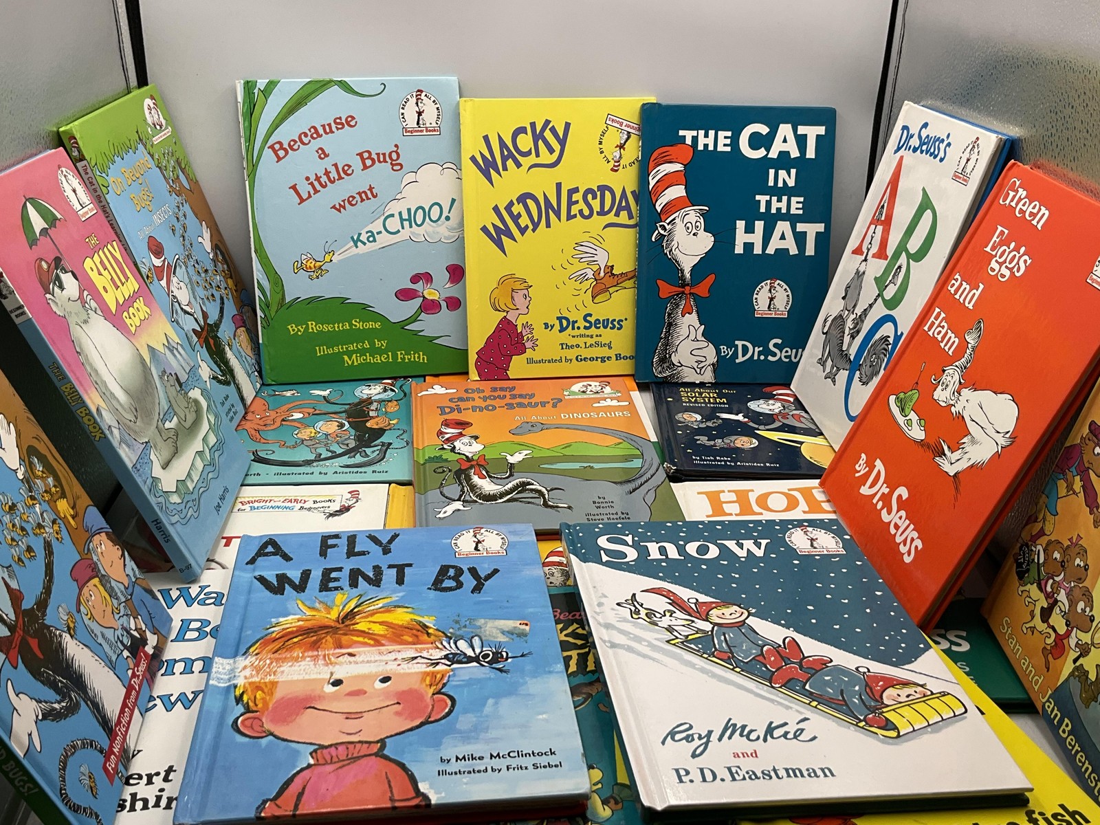 Lot Of 21 Mixed Children’s Books The Cat In The Hat’s Learning Library Hardcover