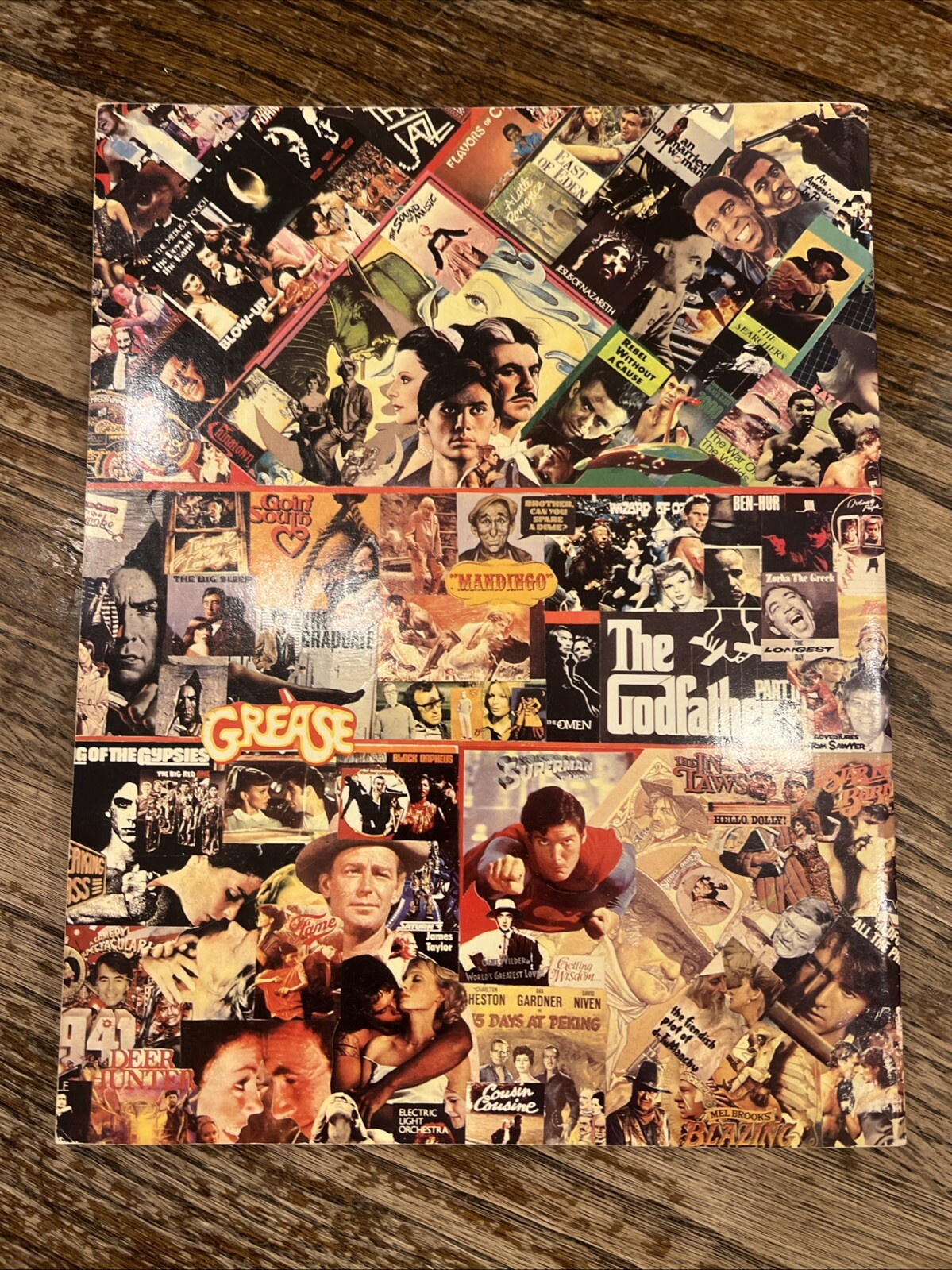 The Compleat VideoCassette Movies Guide Vintage Pop Culture (71318) RK)