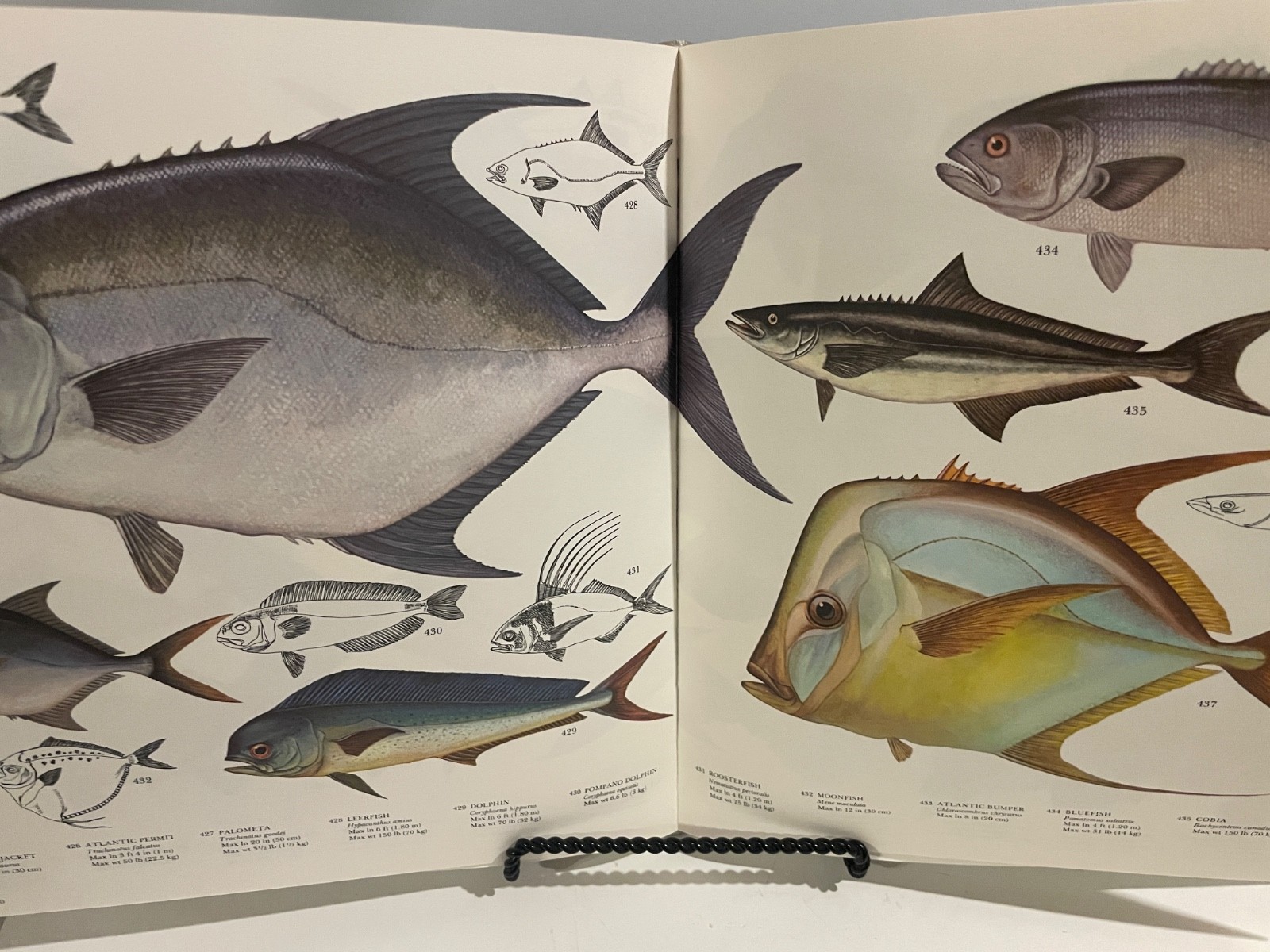 1976 The Lore of Sports Fishing by Tre Tryckare & Ewert Cagner Illustrated