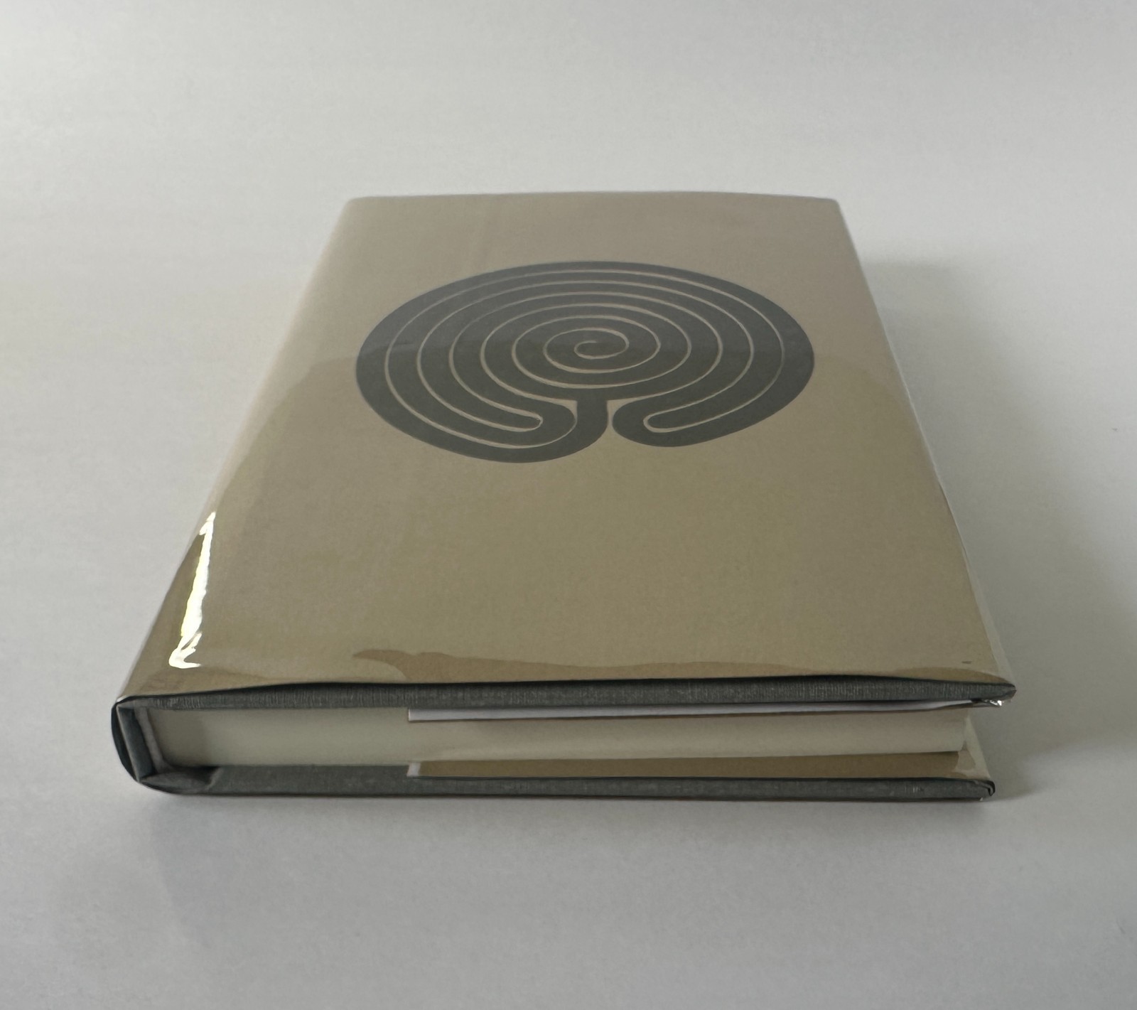 SUMEET BANERJI Ice Party: A Novel | 2015 Mushroom Books First Edition Hardcover