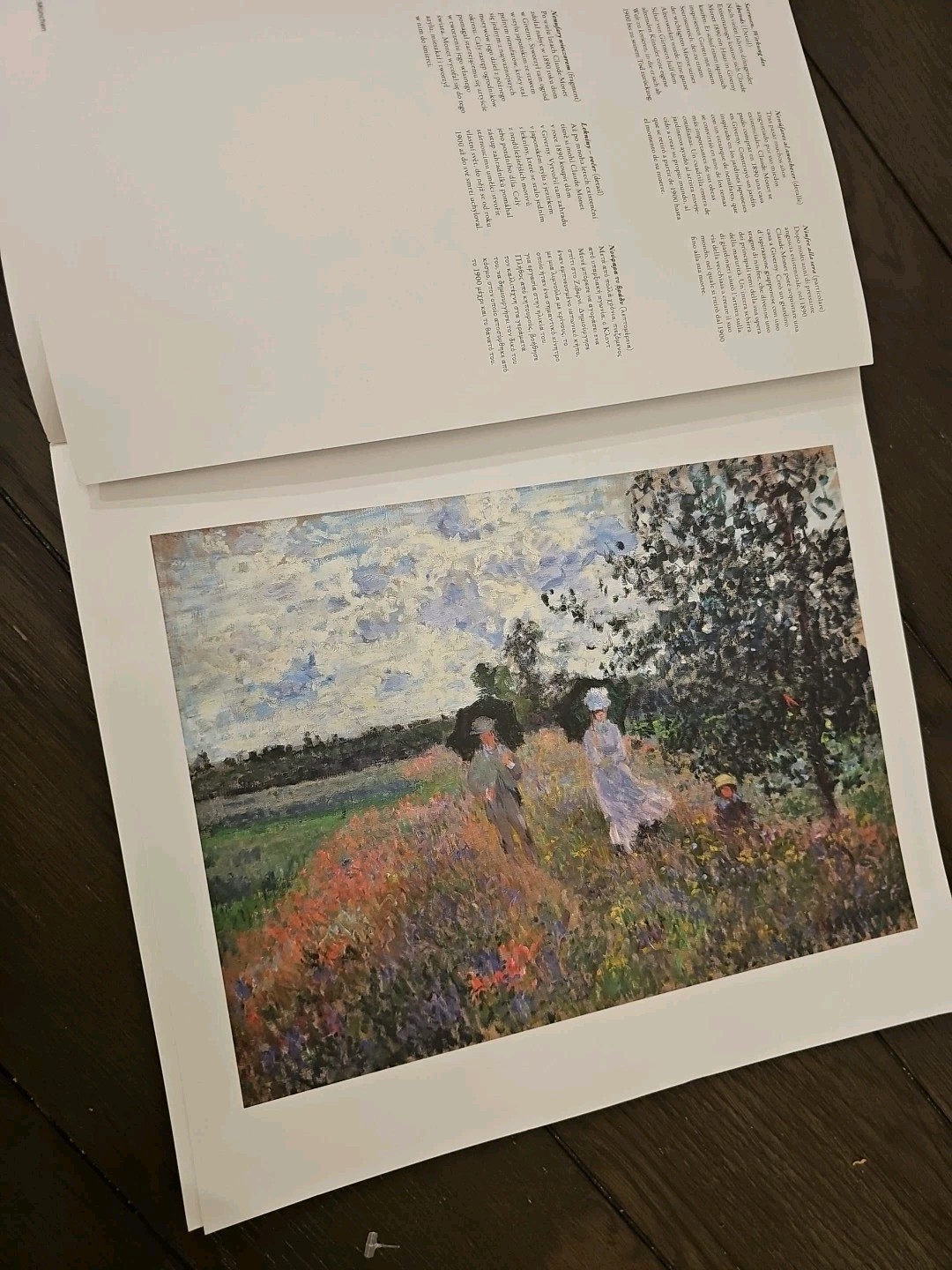 Monet Taschen Portfolio – 14 Prints Ready To Frame