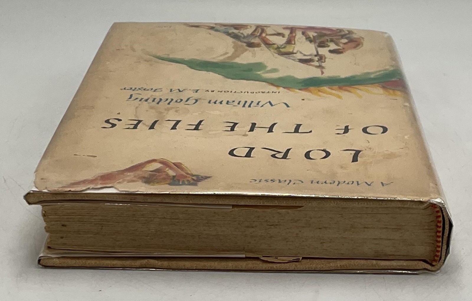 Vintage Lord Of The Flies William Golding Coward-McCann HC Tan DJ 1962 USA