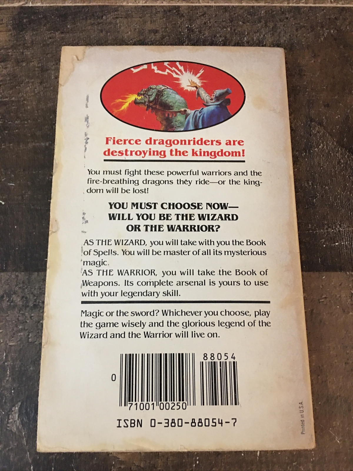 Wizards, Warriors & You #2: The Siege of the DragonRiders CYOA Gamebook 1984