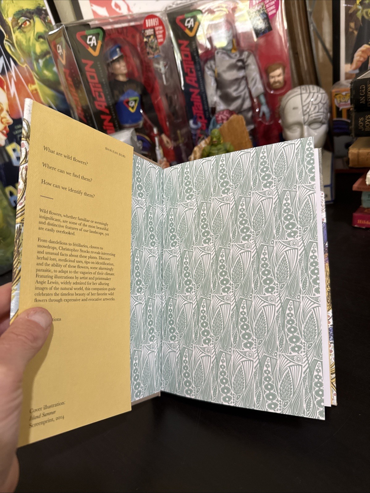 Book of Wild Flowers : Reflections on Favorite Plants by Lewin & Stocks HC DJ
