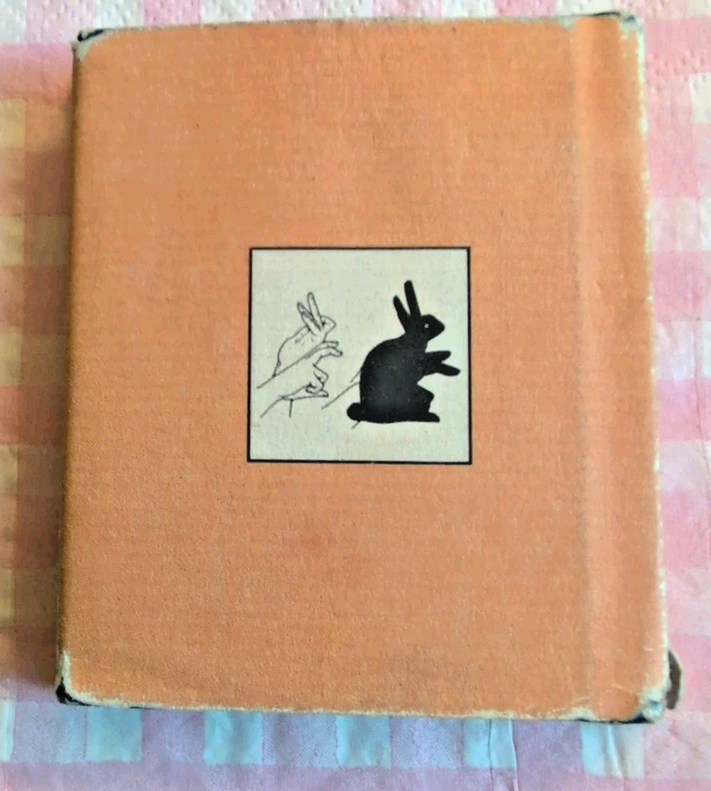 The Little Book of Hand Shadows Phila H Webb Running Press Miniature Edition VTG