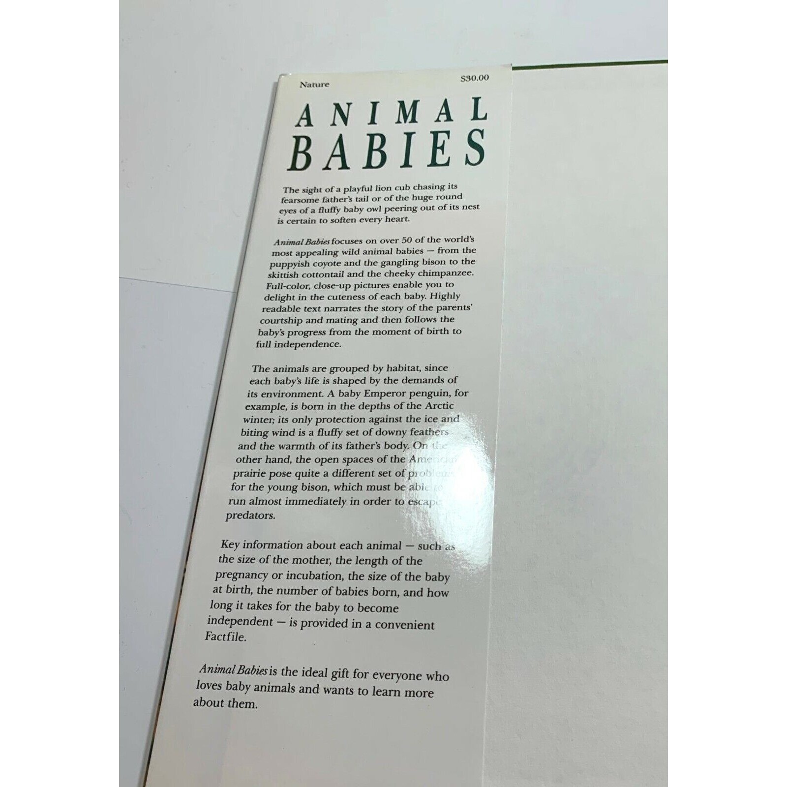 Animal Babies Steve Parker Hardcover Book Habitat Guide to Wild Animals 1994