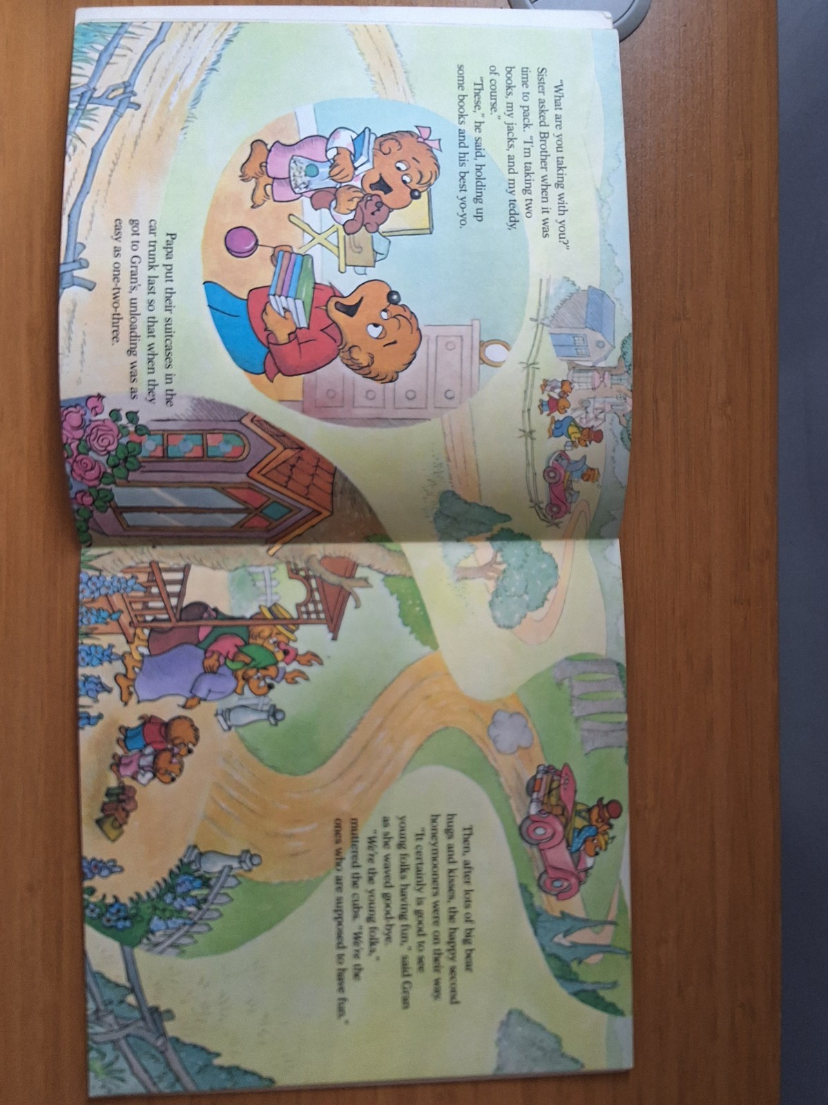 Vintage Variety Set Of Bernstein Bears Books. Lot Of 5