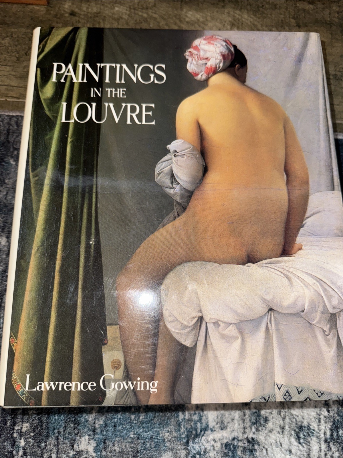 Paintings in the Louvre by Lawrence Gowing (1994, Hardcover)