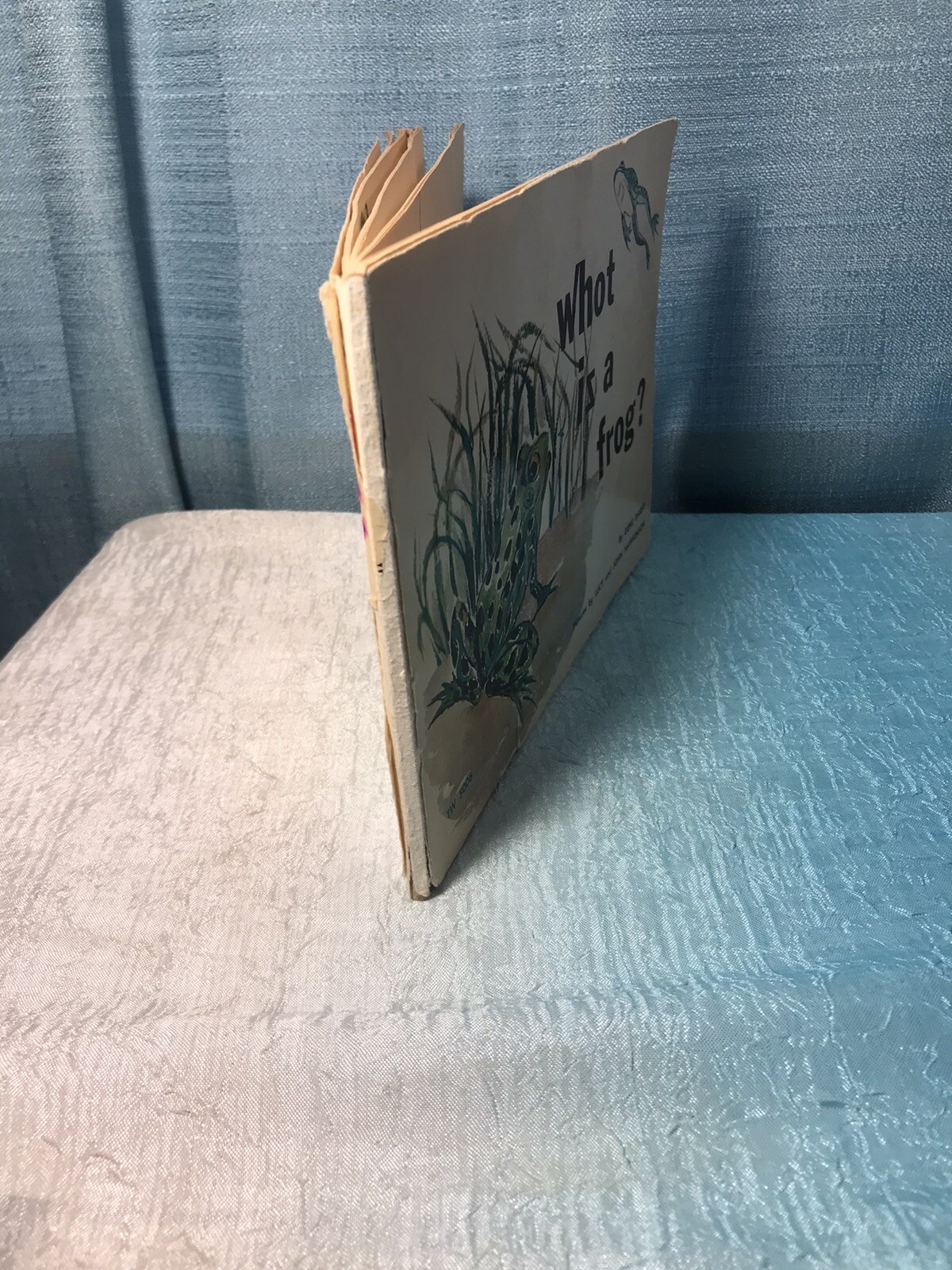 What Is A Frog Vintage 1st Edition Paperback Strange Edition whot iz a frog?