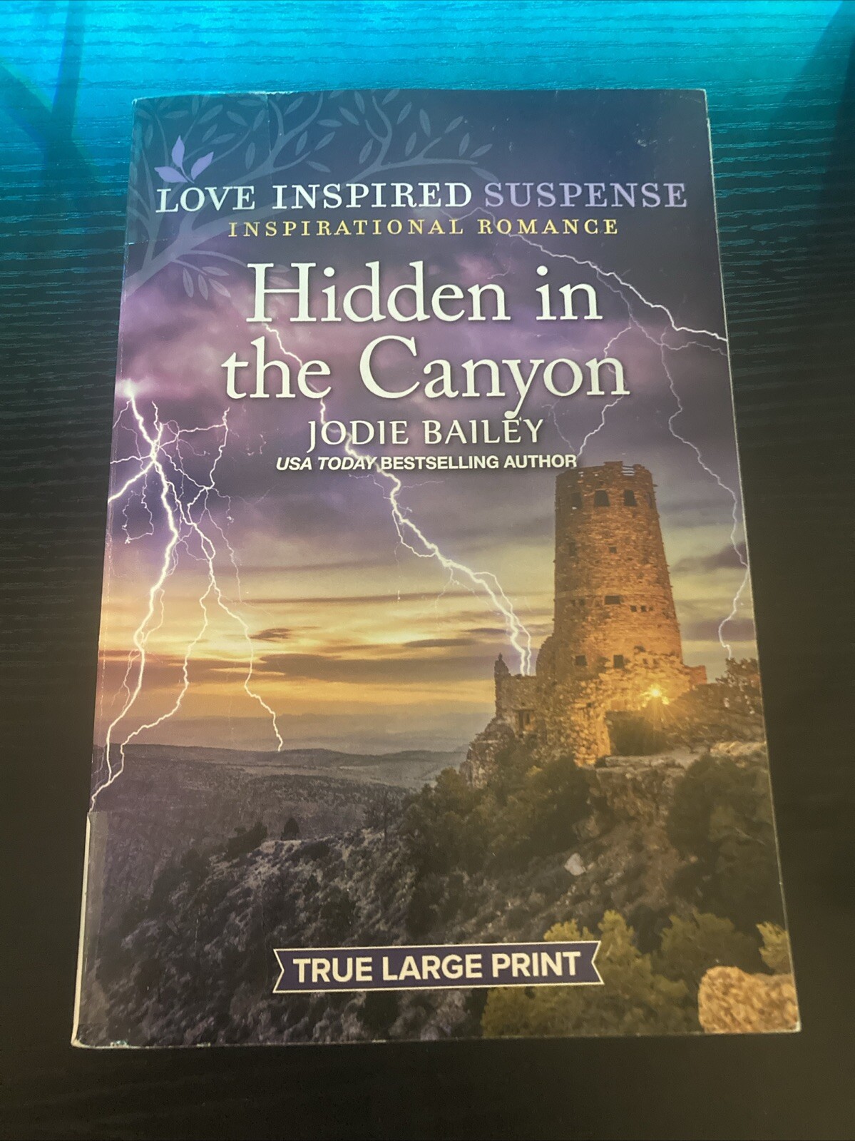 Hidden in the Canyon by Jodie Bailey (2024, Trade Paperback)