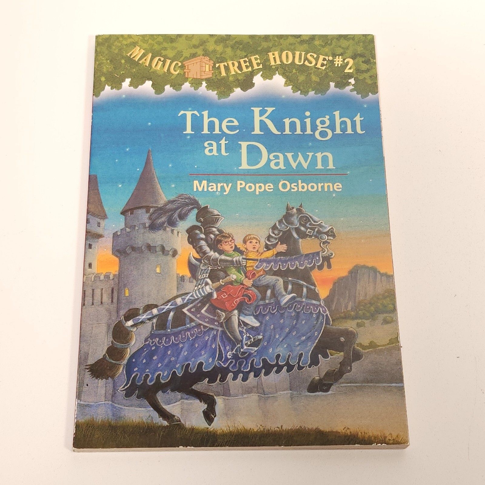 Magic Tree House Lot 9 Chapter Books Mary Pope Osborne 2 3 8 9 10 13 16 19 23