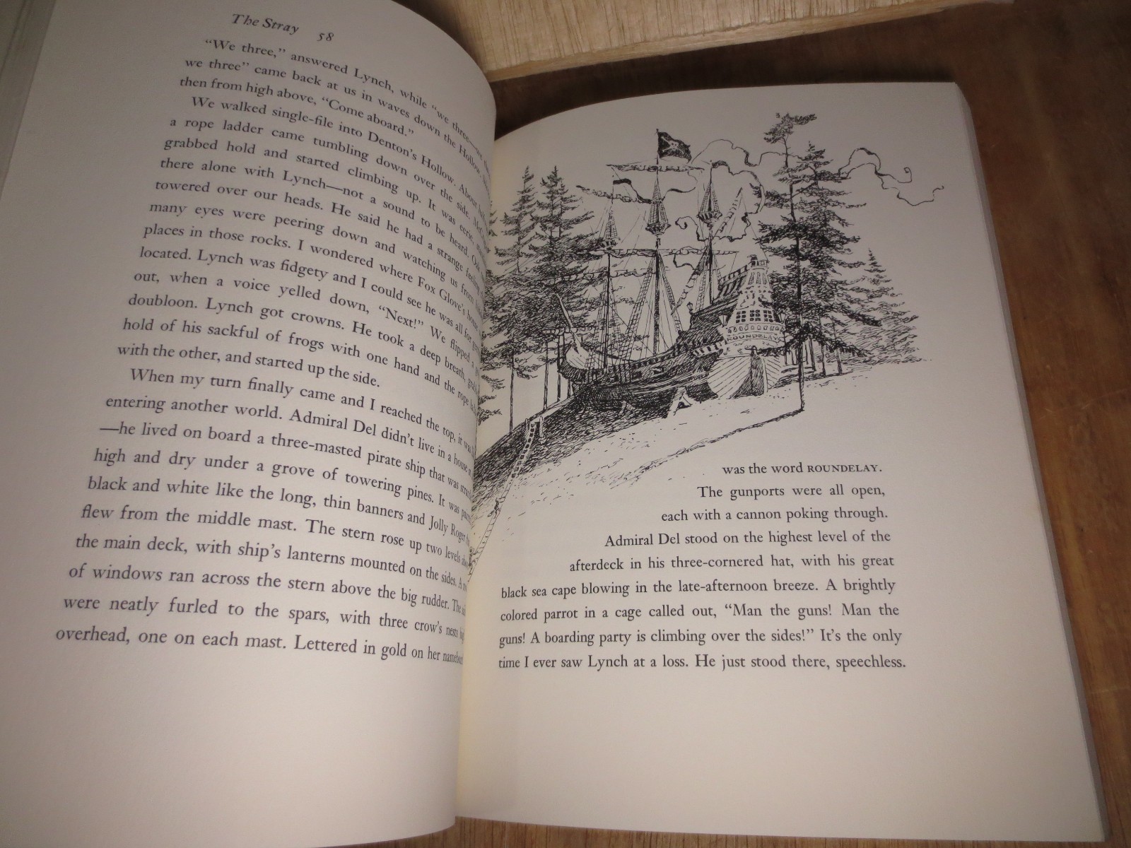 The Stray by Betsy James Wyeth Illustrated by Jamie Wyeth 1st Ed 1979 VTG