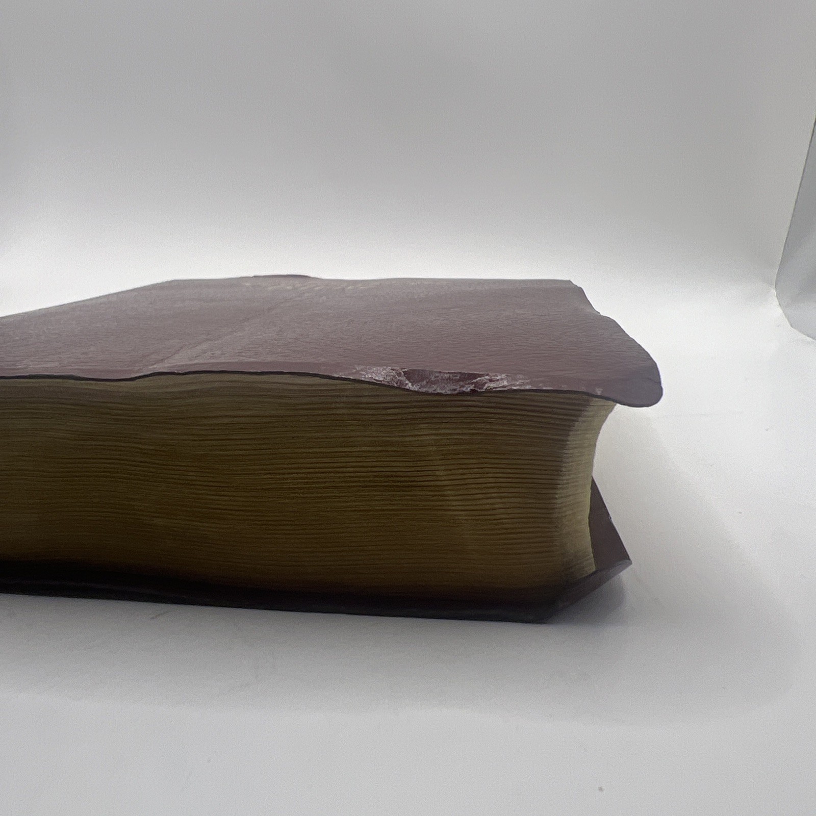 The New American Bible – Catholic World Press 2402BG Red Letter Edition