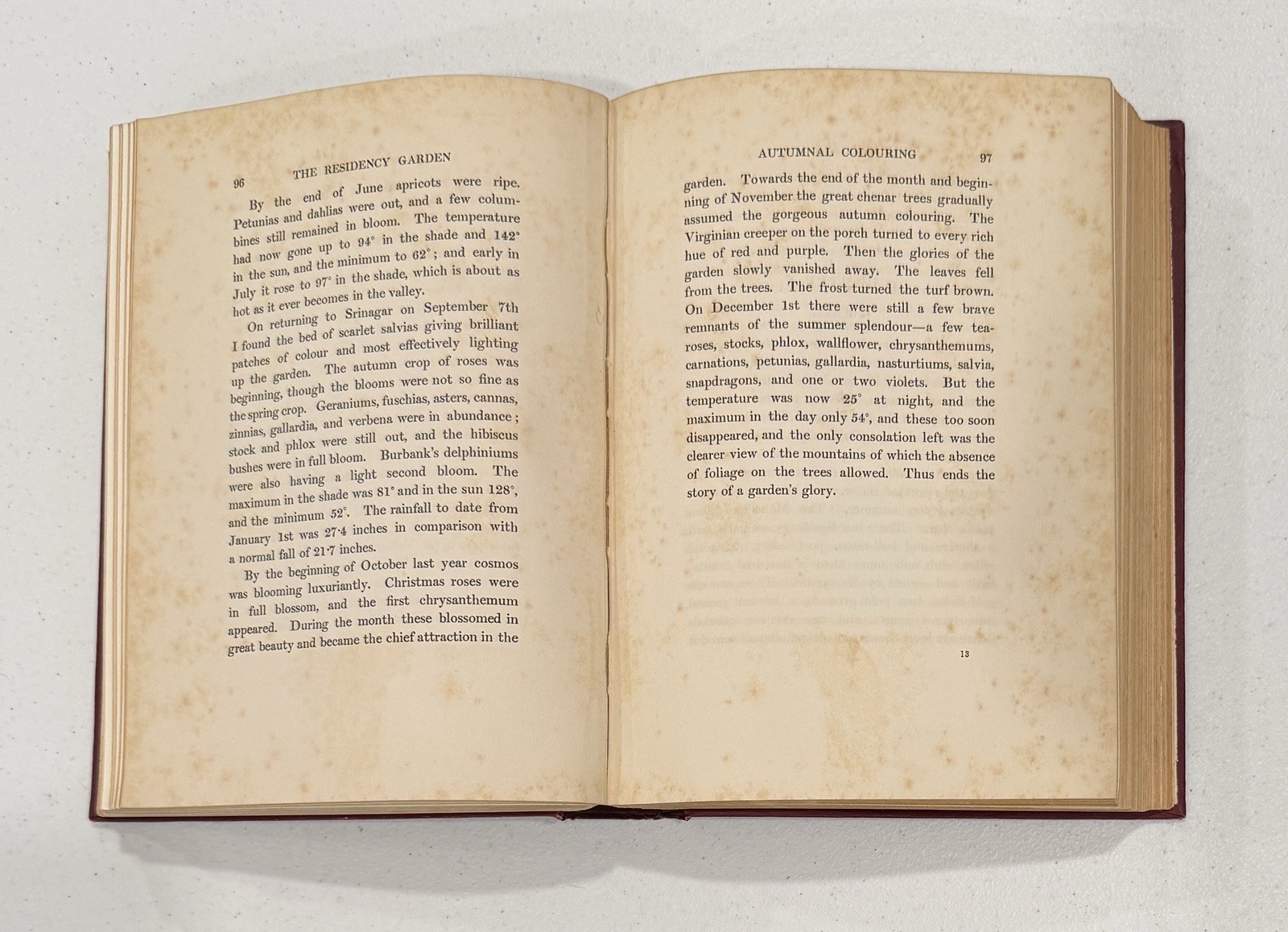 Kashmir Described by Sir Younghusband Paintings Molyneux 1st Edition & Printing