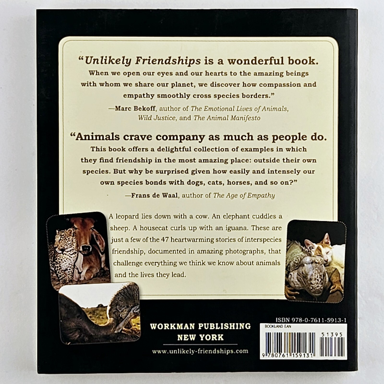 Unlikely Friendships Jennifer S. Holland Gift Book Adorable Animal Stories