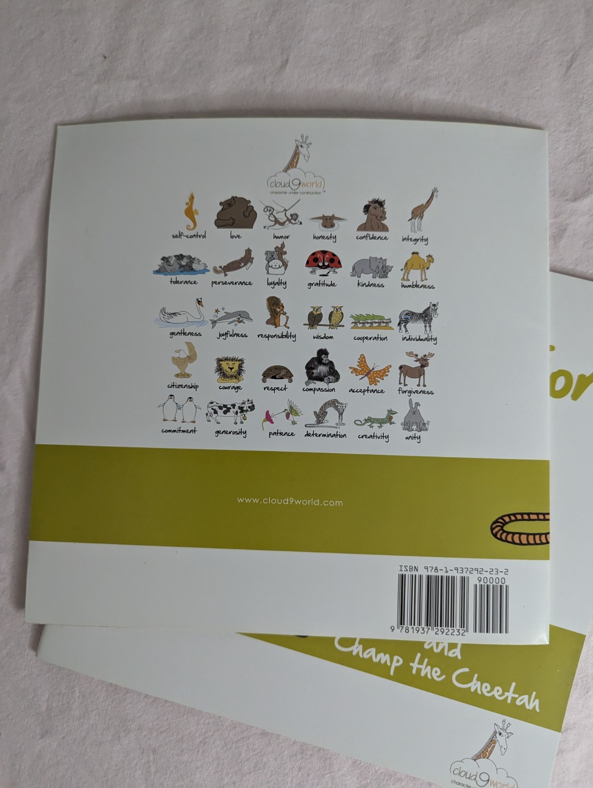 Home School Teachers Cloud 9 world character books DETERMINATION lot 2nd-5th
