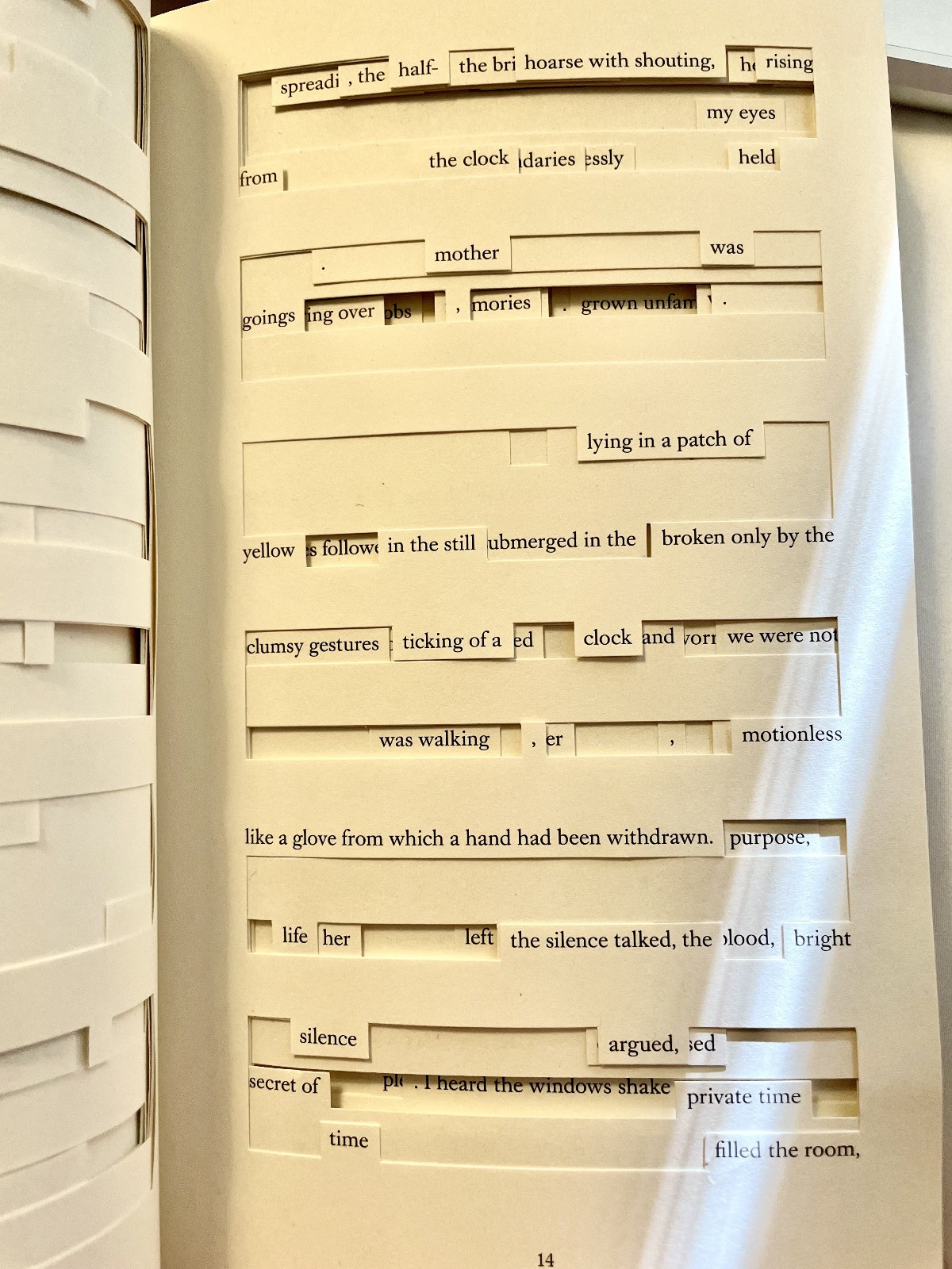 Tree of Codes by Jonathan Safran Foer (2010, Paperback)