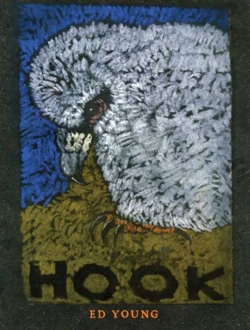 Hook Hardcover Ed Young