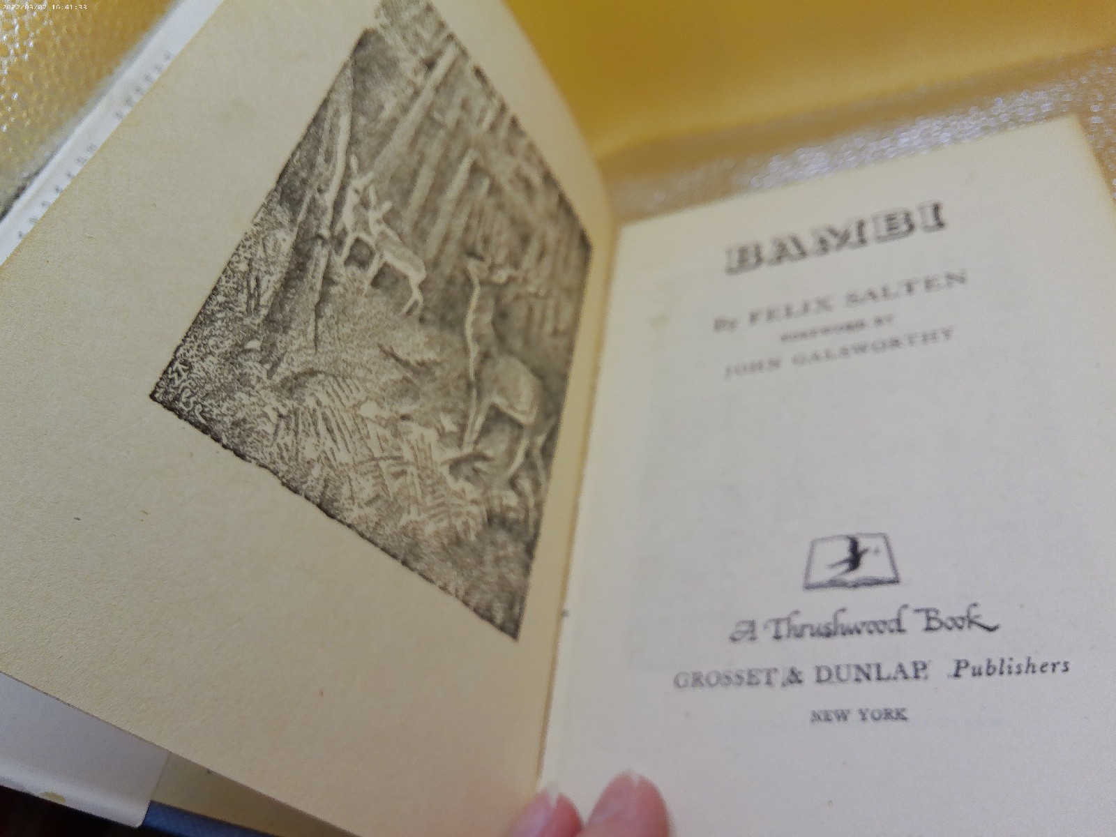 Bambi Felix Salten Thrushwood Grosset Dunlap 1929 HB w DJ book Kurt Wiese