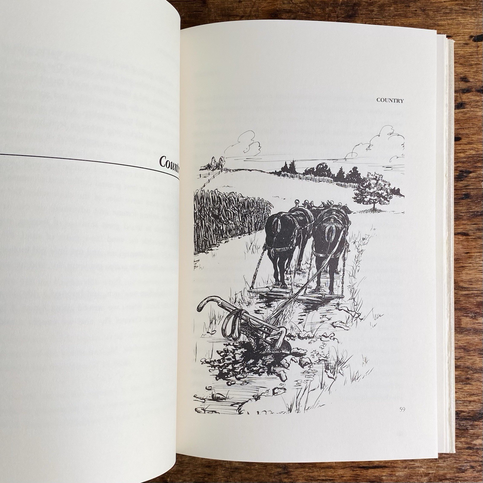 ROUND RIVER: FROM THE JOURNALS OF ALDO LEOPOLD By Luna B. Leopold – Hardcover