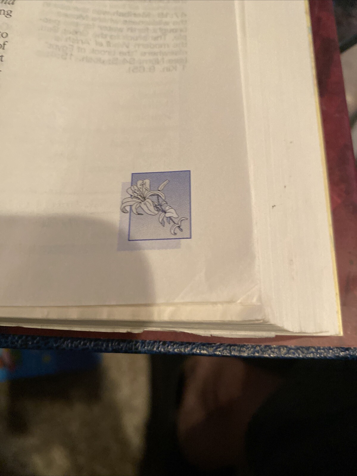 Woman’s Study Bible NKJV Opening the Word of God to Women by Thomas Nelson 922
