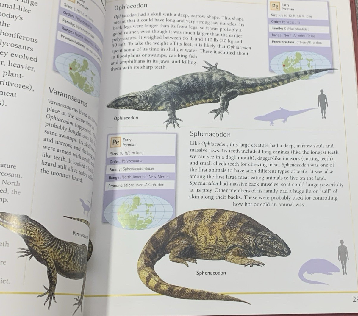 Complete Guide to Dinosaurs by Chris McNab – Hardcover – Velika Enciklopedija