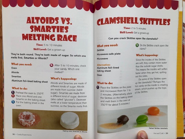 Candy Experiments: By Leavitt, Loralee (Paperback, 146 pages very clean)