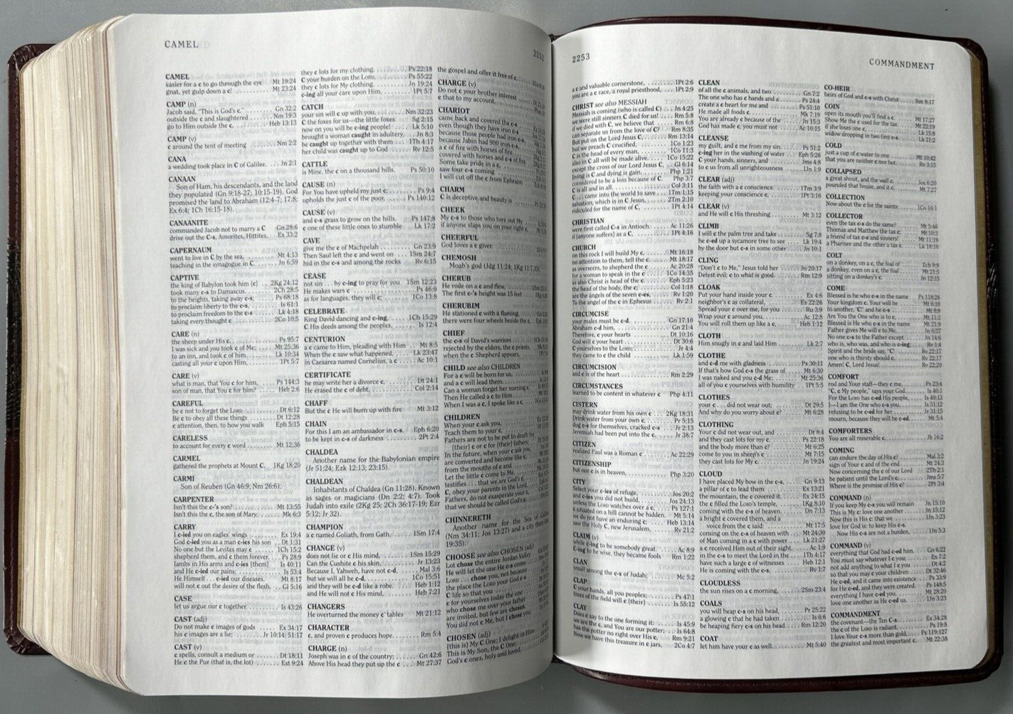 HCSB Study Bible Mahogany Duotone Simulated Leather Clean Text G+ USA Print