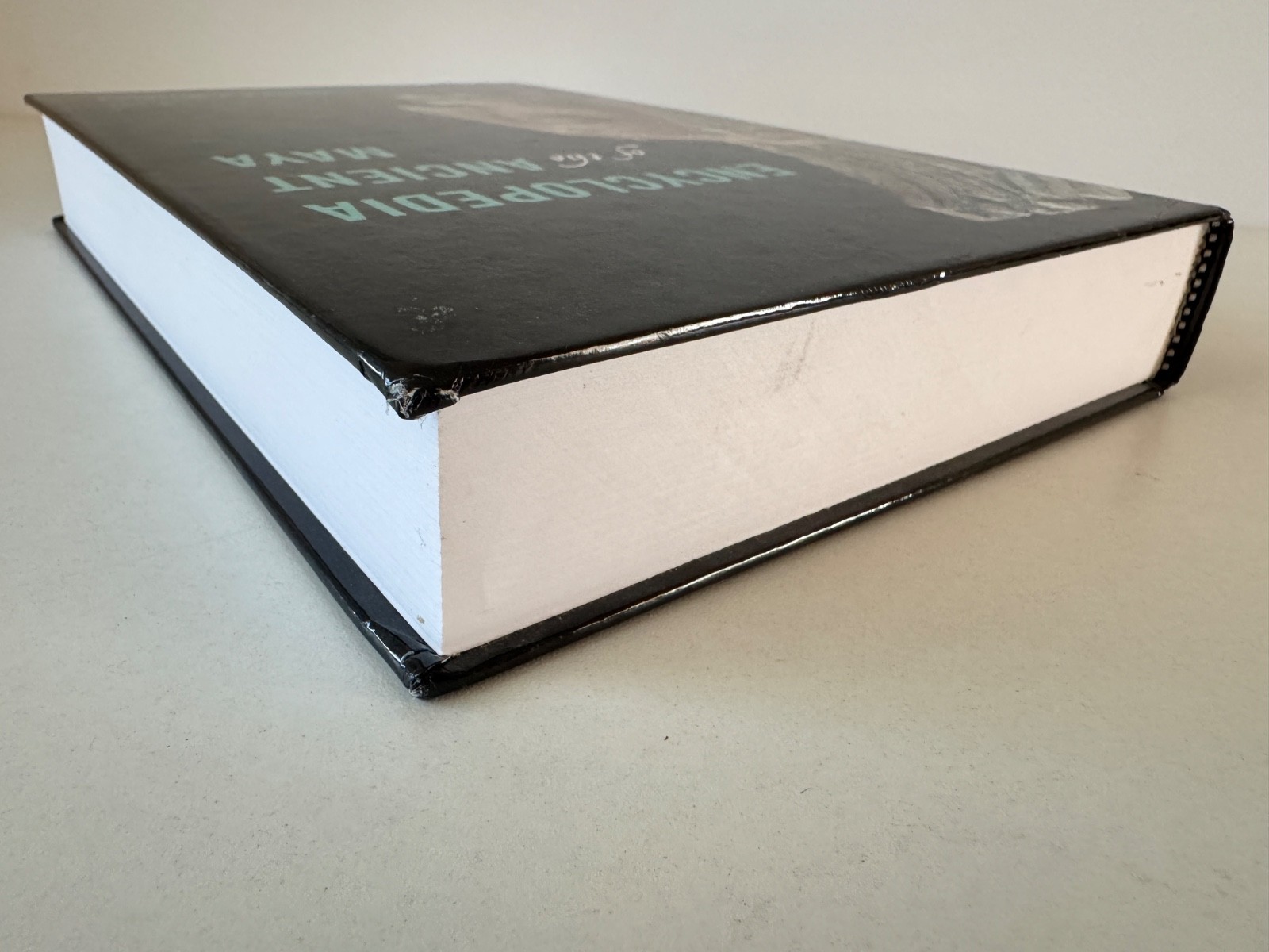 Encyclopedia of the Ancient Maya Edited by Walter R.T.Witschey Hardcover