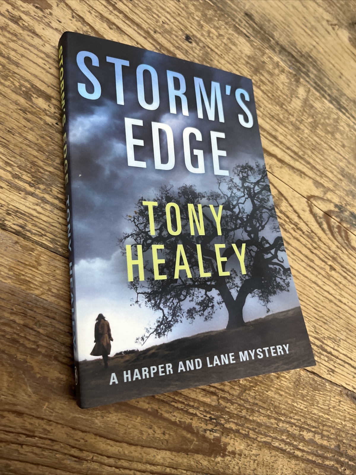 Harper and Lane Ser.: Storm’s Edge by Tony Healey (2017, Trade Paperback)