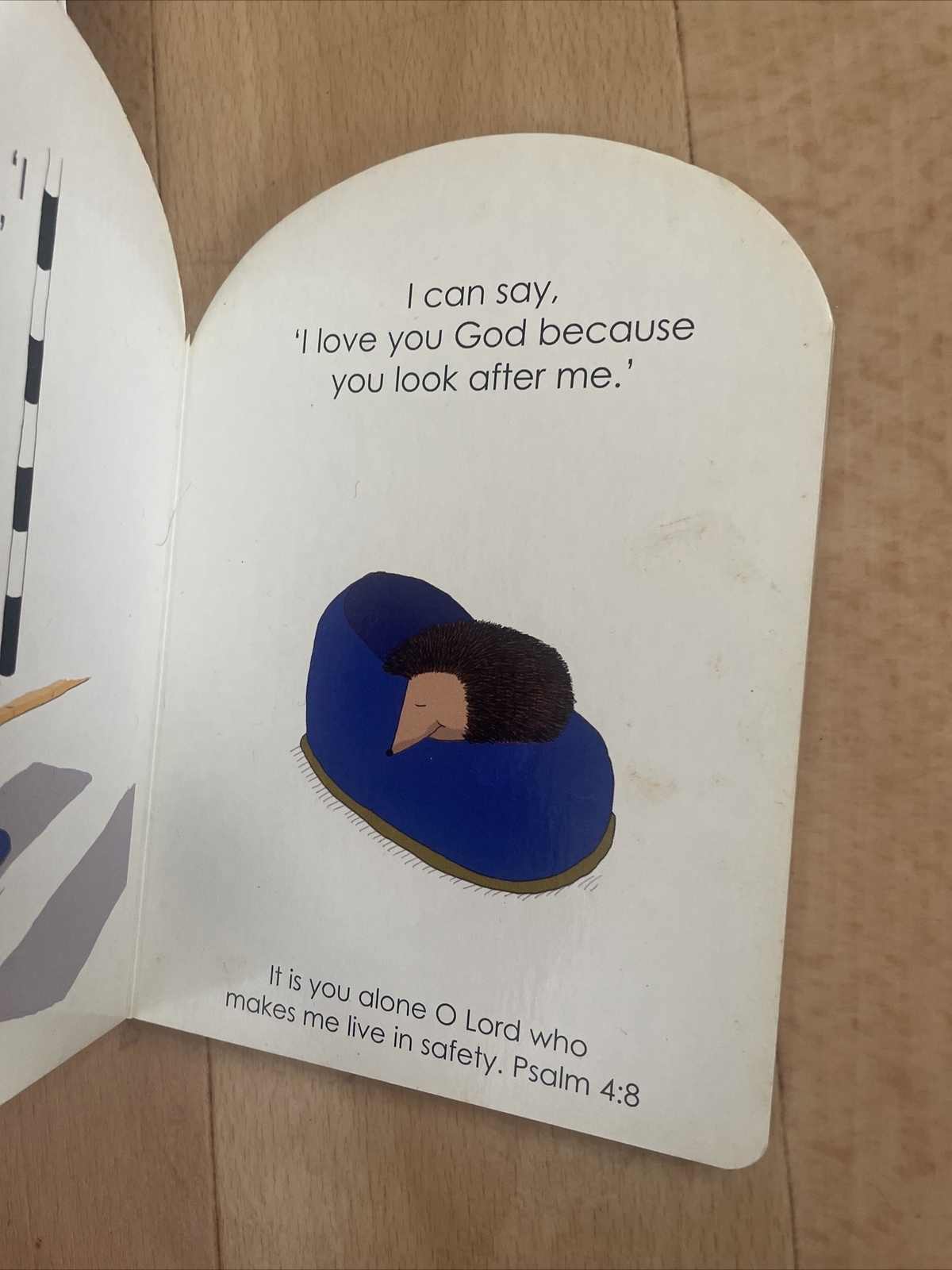 I CAN SAY TO GOD I LOVE YOU. 12 BY 17CM. 1857926927