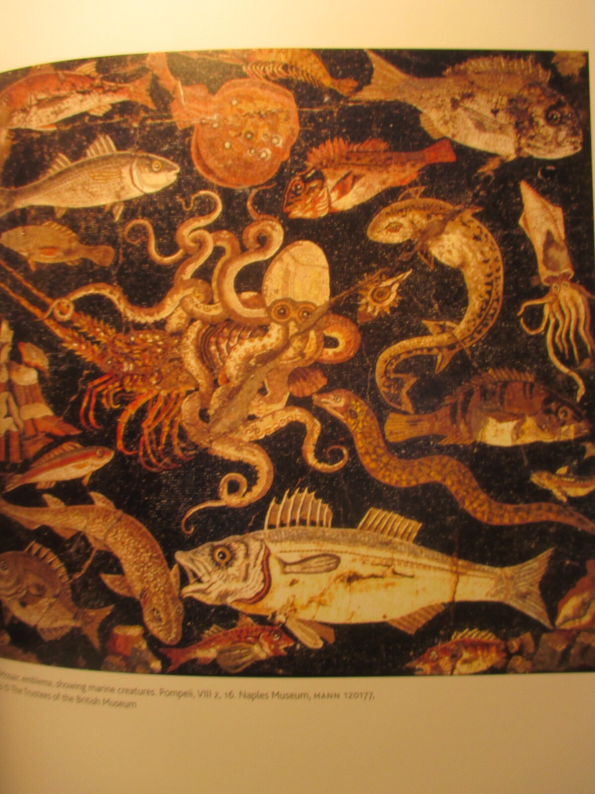 art / history LAST SUPPER IN POMPEII by PAUL ROBERTS & ASHMOLEAN MUSEUM pb 2019