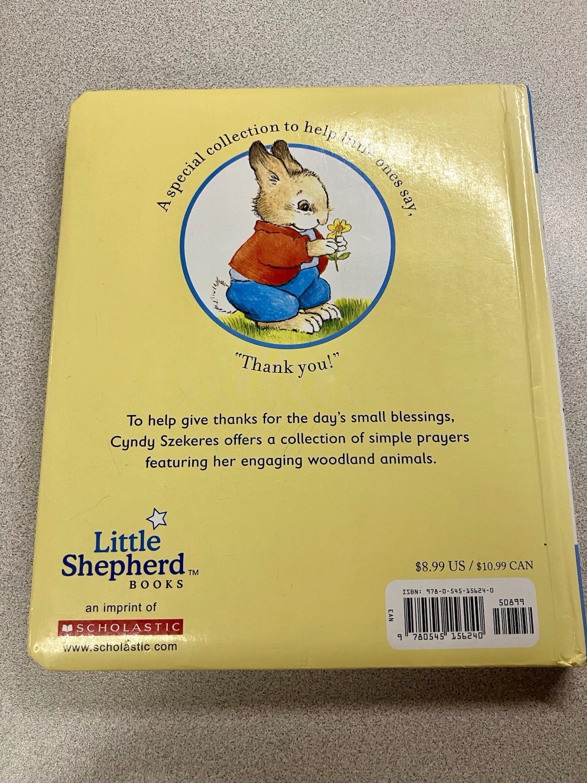Lot of 10+. Children’s Paperback BOOKS *RANDOM MIX*