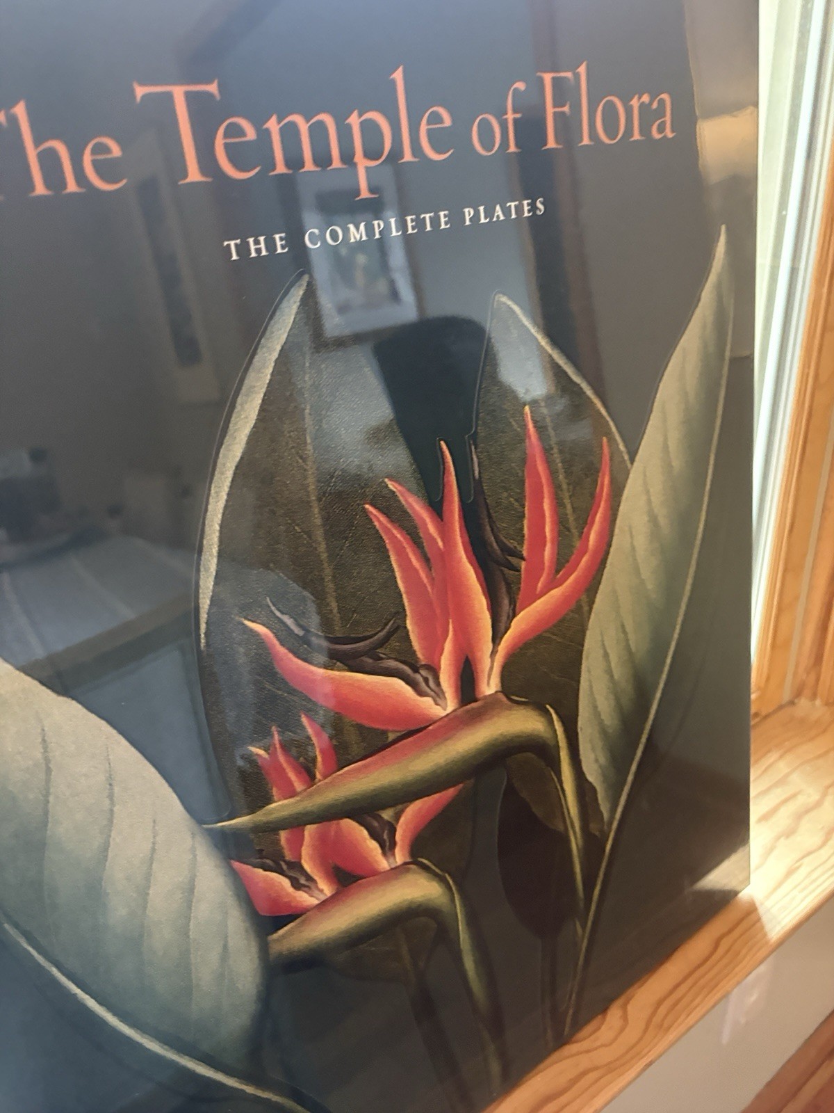 Temple of Flora The Complete Plates Thornton, Dressendorfer Deluxe Portfolio New