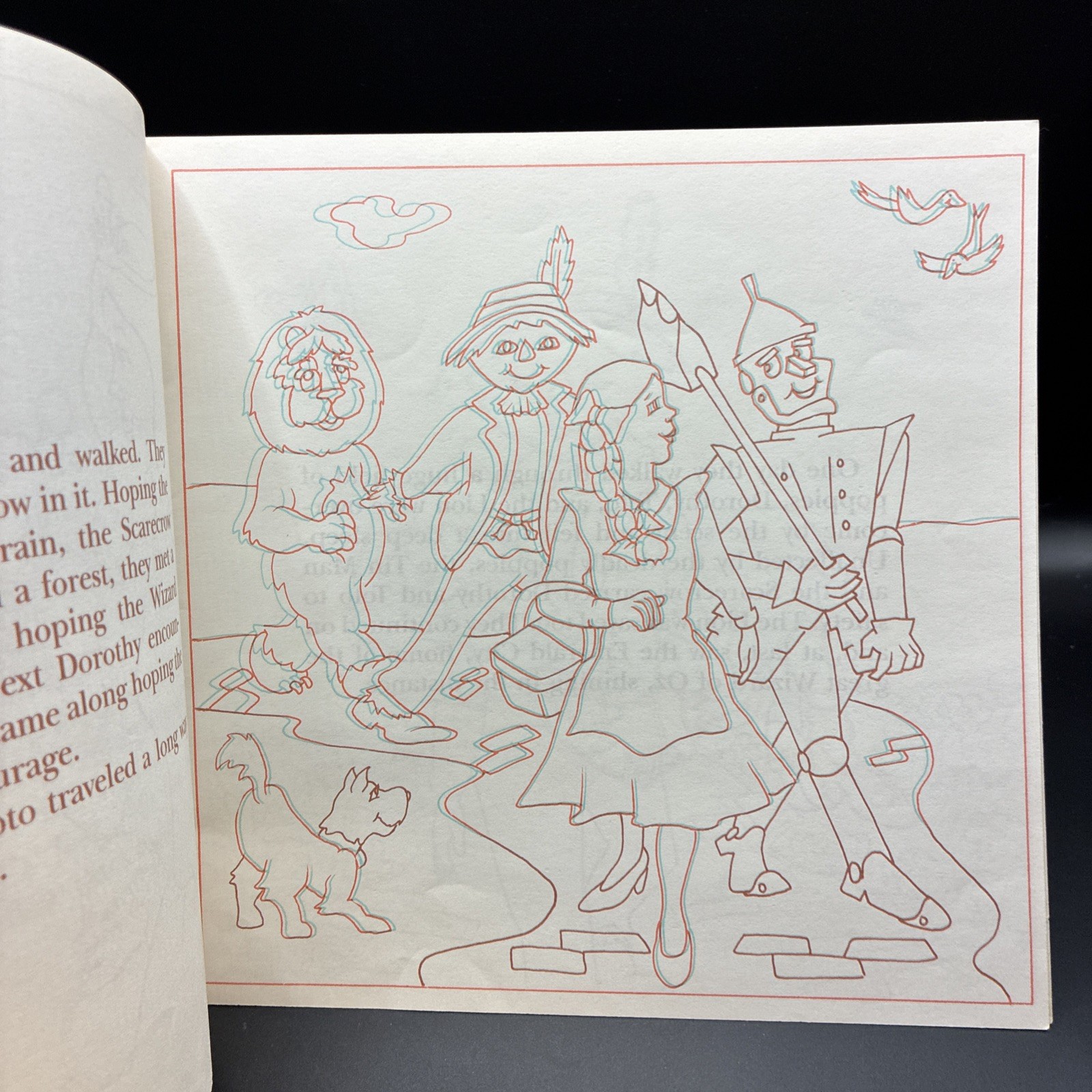 A 3-D Storybook To Color The Wizard Of Oz Gina Phillips (no Glasses)
