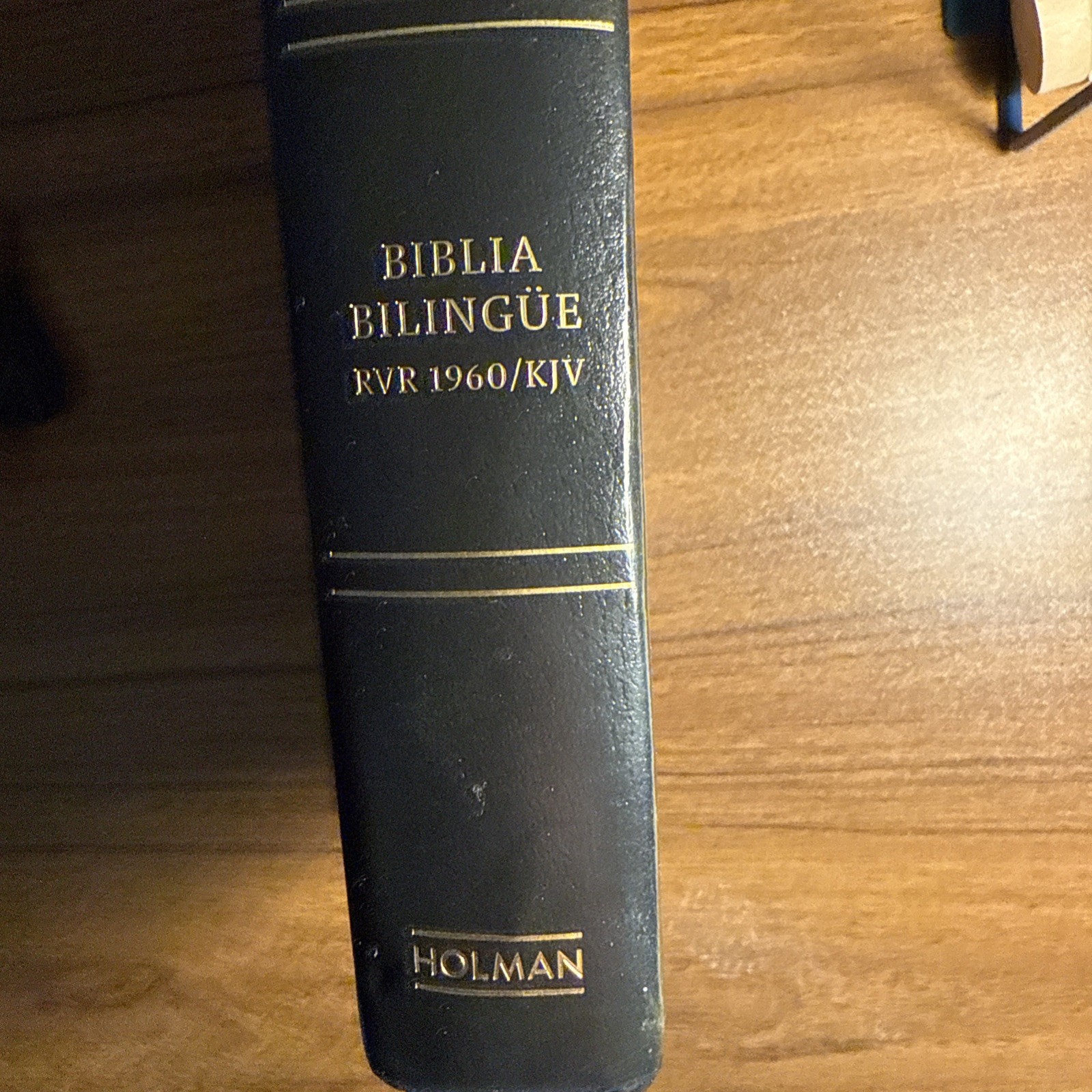 RVR 1960/KJV Bilingual Edition Holy Bible Santa Biblia 2011 Imitation Leather