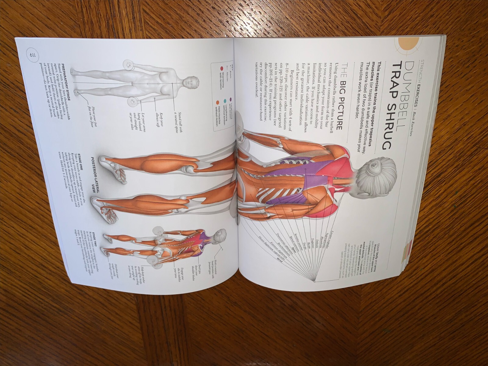 DK Science Of Ser.: Science of Strength Training : Understand the Anatomy and…