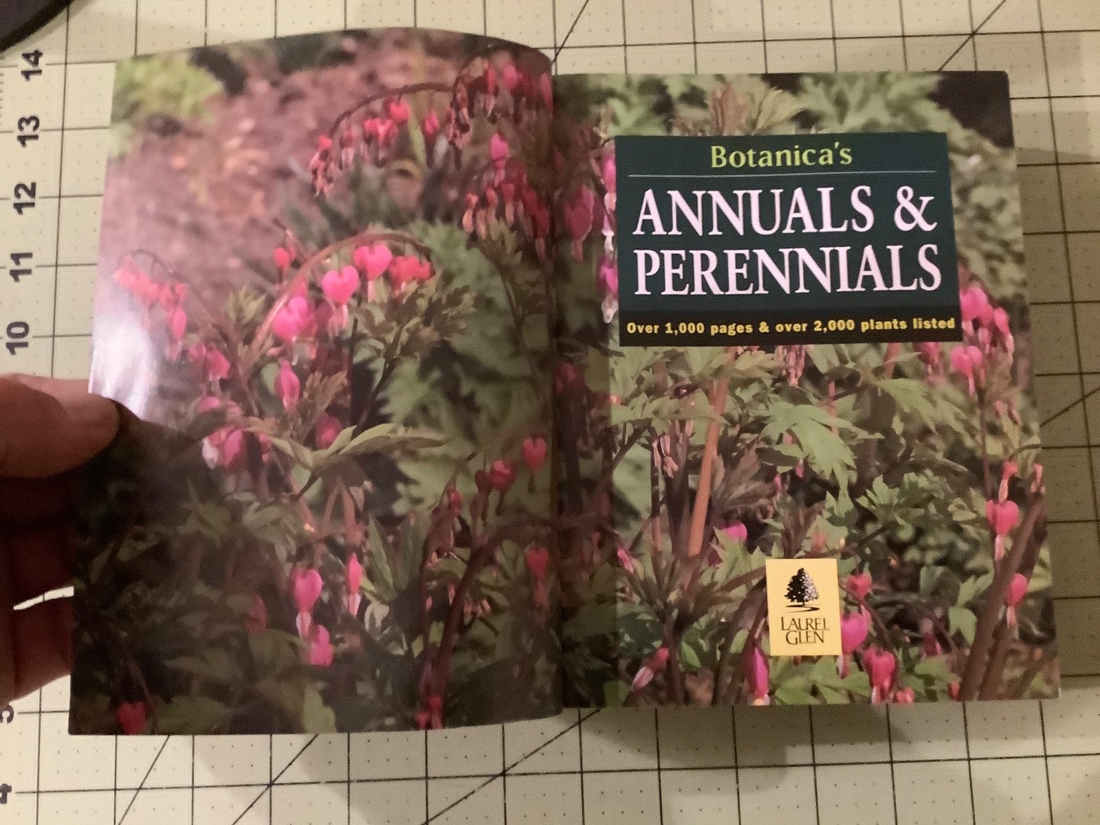 BOTANICAS ANNUALS AND PERENNIALS – Thick Paperback – VERY GOOD